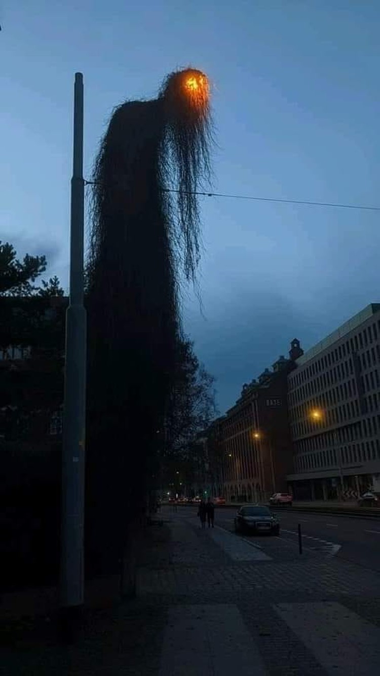 Foto mengecoh mata