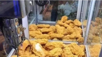 Bikin ngiler ya melihatnya, tapi ini bukan ayam goreng melainkan boneka. Foto: Reddit
