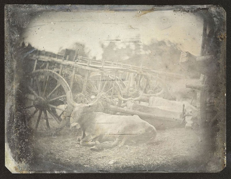 Foto pertama dalam sejarah fotografi