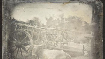 Foto Hewan Hidup Paling Awal. Foto hitam-putih ini menggambarkan seekor hewan sedang bersantai di samping gerbong di pasar ternak di Roma. Itu dijepret oleh fotografer Prancis Joseph-Philibert Girault de Prangey selama perjalanannya di Mediterania, antara April dan Juli 1842. Karyanya juga mencakup banyak foto dari Yunani, Turki, dan Timur Tengah. Foto: Boredpanda