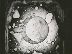 Foto Paling Bersejarah di Dunia Fotografi Karena Serba Pertama