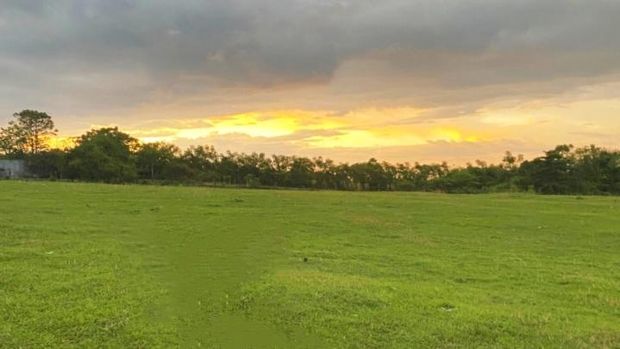 Padang Savana Takalar
