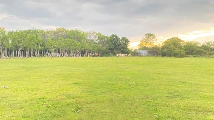 Padang Savana Takalar