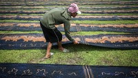 Menurut pekerja, cuaca dengan curah hujan tinggi berpengaruh terhadap proses penjemuran kain batik printing di desa tersebut.