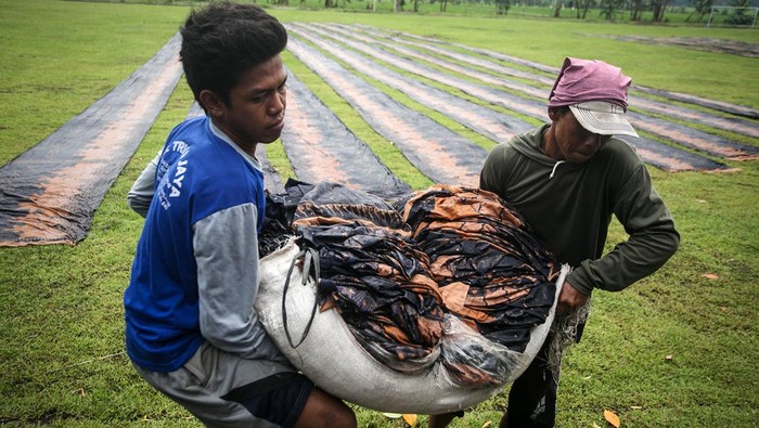 Penjemuran Kain Batik Terkendala Cuaca Pekerja menjemur kain batik batik printing di Desa Jabung, Plupuh, Sragen, Jawa Tengah, Sabtu (28/1/2023). Menurut pekerja cuaca dengan curah hujan tinggi berpengaruh terhadap proses penjemuran kain batik printing yang biasanya hanya satu jam saat cuaca cerah menjadi tiga hingga lima jam saat cuaca mendung bahkan saat hujan mereka terpaksa menunda penjemuran pada hari berikutnya. ANTARA FOTO/Mohammad Ayudha/nz.