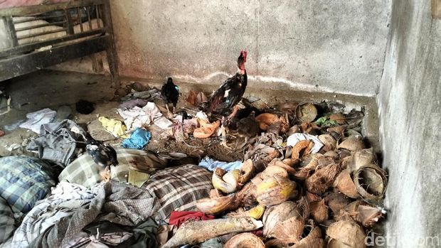 Sekeluarga penderita gangguan mental di Polman, Sulbar.