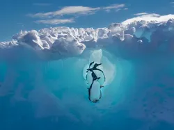 Karya Jawara Kontes Foto Travel 2022 Memukau Mata