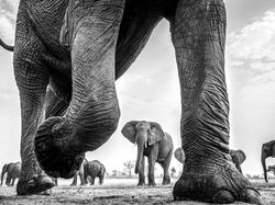 Karya Jawara Kontes Foto Travel 2022 Memukau Mata