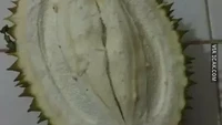 Menjadi korban pedagang curang, pembeli buah durian ini menerima durian mentah. Bagian buahnya sama sekali belum bisa dimakan. Foto: 1cak.com