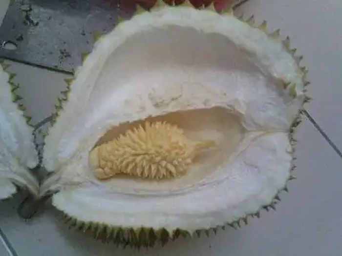 Durian zonk Zonk! 10 Netizen Ini Rugi Besar Gegara Dapat Durian Kosong