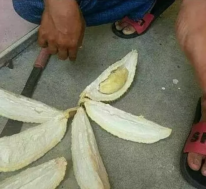 Durian zonk Zonk! 10 Netizen Ini Rugi Besar Gegara Dapat Durian Kosong