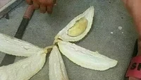 Berharap besar pada durian yang dibelinya, netizen ini dibuat terkejut saat membelahnya. Durian dengan ukuran besar ini hanya berisikan satu biji durian saja. Foto: 1cak.com