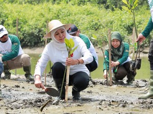 Festival Mangrove di Sidoarjo, Khofifah Kuatkan Sinergitas Jaga Ekosistem