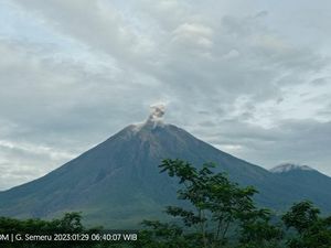 Gunung Semeru Erupsi, Keluarkan Letusan Setinggi 600 Meter