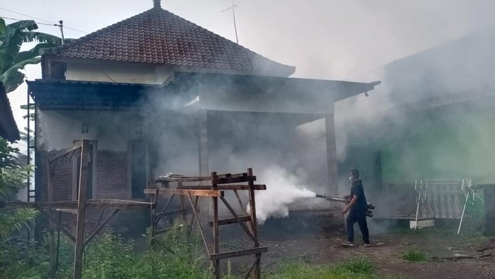 Kegiatan fogging di Kelurahan Lelateng, Kecamatan Negara, Kabupaten Jembrana, Bali, Jumat (27/1/2023). (Foto: Istimewa)