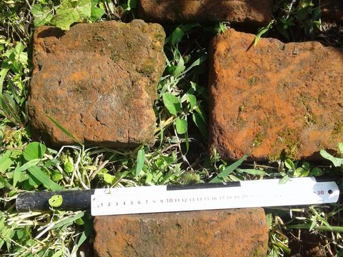 Fragmen bata di situs pematang di tenggara makam 'Kebon Toro'.
