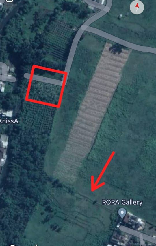 Peta keletakan struktur bata di area makam 'Kebon Toro'. Tanda bujursangkar merah area makam, tanda panah letak struktur pematang.