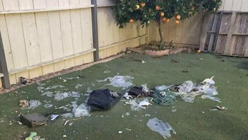 Ceritanya sang pemilik rumah memesan jasa pencucian pakaian, tas, dan lain sebagainya. Hanya saja, sang pengirim melemparnya di halaman belakang dan anjing pemilik rumah mengacak-acaknya. Foto: (Bored Panda).