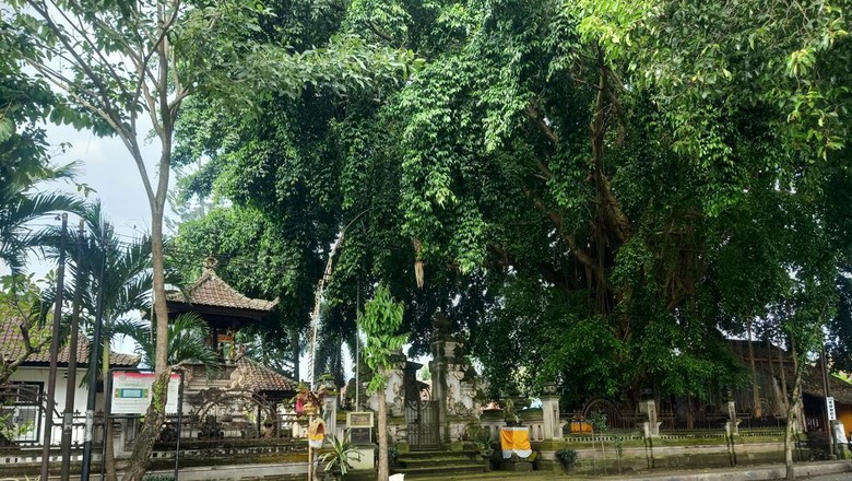 Tampak depan rumah Gubernur Bali pertama yang berlokasi di Kelurahan Banjar Tengah, Kecamatan Negara, Kabupaten Jembrana, Minggu (29/1/2023). (I Putu Adi Budiastrawan/detikBali).