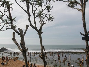 Pantai Kukup Gunungkidul Yogya: Letak, Harga Tiket, dan Daya Tarik