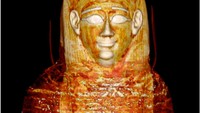 Citra tiga dimensi dari CT-scan menunjukkan topeng kepala dan perban paling luar disusun melintang dan diagonal secara selang seling. Foto: © Sahar N. Saleem, Sabah Abd el-Razek Seddik, dan Mahmoud el-Halwagy