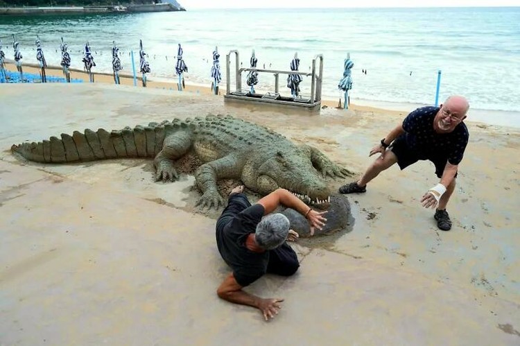 10 Potret Hewan yang Terbuat dari Pasir, Mirip Banget sama Aslinya Seorang seniman asal Spanyol bernama Andoni Bastarrika, membawa seni pahat pasir ke tingkatan yang berbeda.