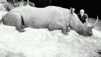 Bagaimana dengan badak ini? Tampak mirip sekali kan? Foto: Andoni Bastarrika via Boredpanda.