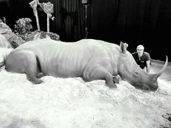 10 Potret Hewan yang Terbuat dari Pasir, Mirip Banget sama Aslinya