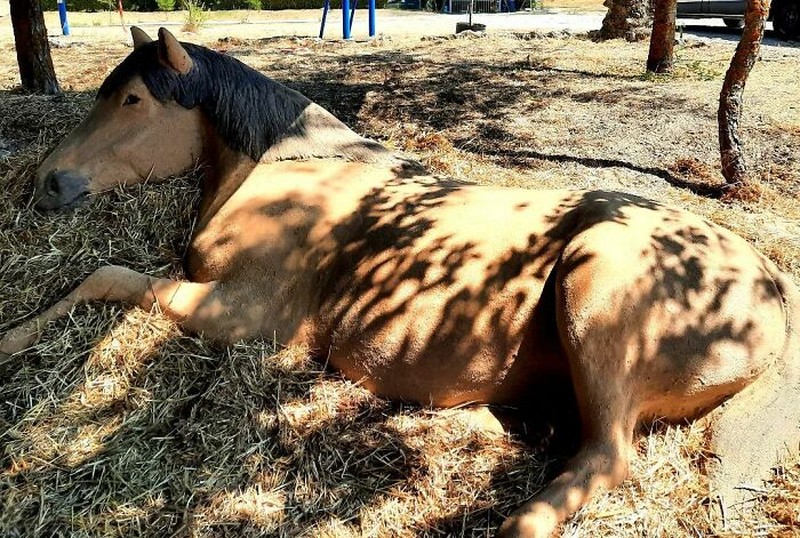 Seorang seniman asal Spanyol bernama Andoni Bastarrika, membawa seni pahat pasir ke tingkatan yang berbeda.