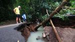 Imbas Tanah Longsor di Sabang, Jalan Putus-Pohon Tumbang