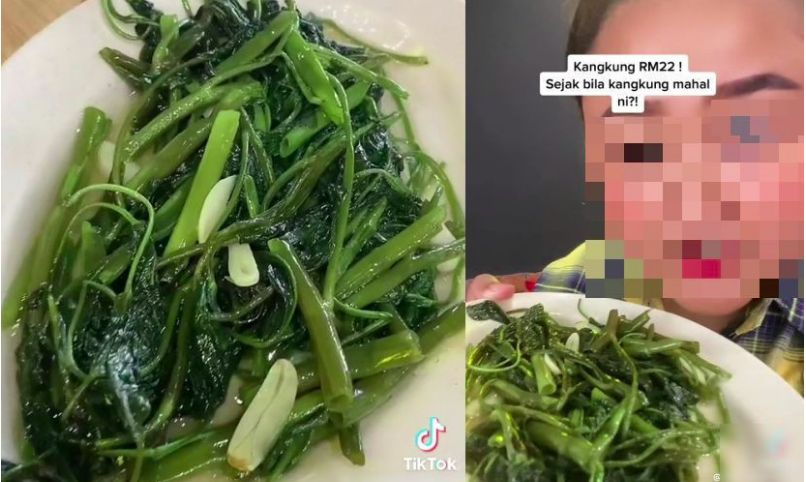 Cah kangkung harga mahal