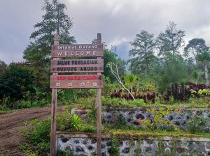 Koster Angkat Pemandu Wisata Gunung Agung Jadi Pegawai Oktober 2023