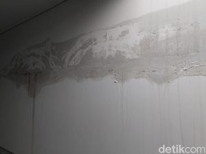 Kenapa Dinding Rembes Saat Musim Hujan? Ini Penyebab dan Cara Atasinya