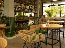 Cafe Sampai Resto Pilih Putar Kicau Burung, LMKN: Itu Juga Ada Hak Terkait!