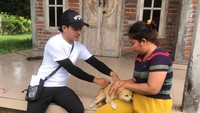 Bocah dan Guru PAUD di Jembrana Digigit Anjing Positif Rabies