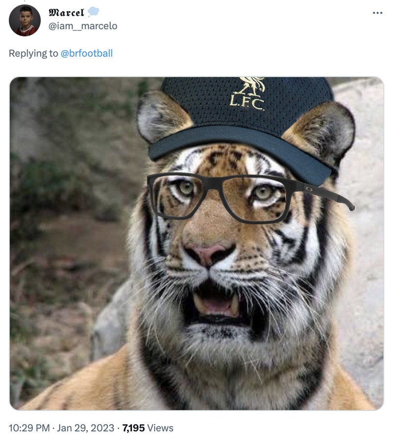 Liverpool tersingkir dari Piala FA usai dikalahkan oleh Brighton & Hove Albion.