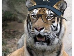 Netizen Ngakak Liverpool Kembali Keok Oleh Brighton