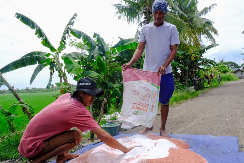 Mitra Petani Wilmar Padi