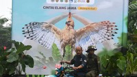 Taman Safari Indonesia bekerja sama dengan Pusat Suaka Satwa Elang Jawa, Balai Taman Nasional Gunung Halimun Salak, Balai Taman Nasional Gunung Gede Pangrango, Balai Besar Konservasi Sumber Daya Alam dan PT Smelting melakukan pelepasliaran dua ekor burung Elang Jawa (Nisaetus bartelsi).