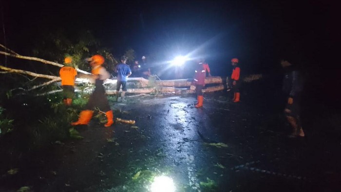 Proses pembersihan pohon tumbang oleh BPBD Natuna di Desa Air Langit, Bunguran Timur, Senin dini hari. (Dok BPBD Kepri)