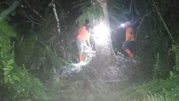 Proses pembersihan pohon tumbang oleh BPBD Natuna di Desa Air Langit, Bunguran Timur, Senin dini hari. (Dok BPBD Kepri)