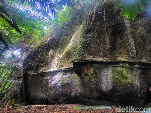 Ada Makam Palsu di Sukabumi, Kini Jadi Kerajaan Monyet