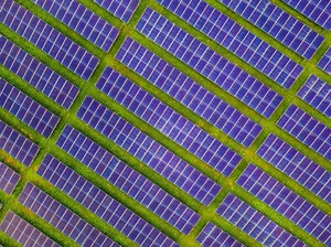 Kepemimpinan Politik dan Percepatan Transisi Energi