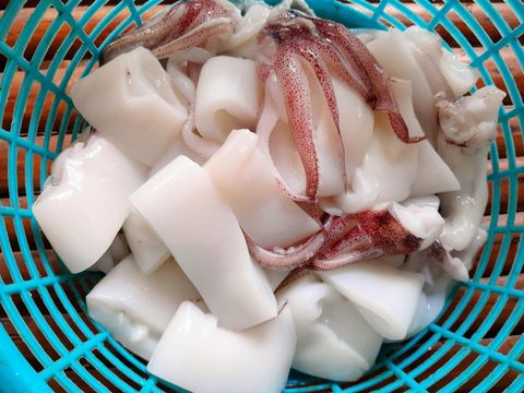 Cumi segar untuk tumis cumi bumbu cabe.