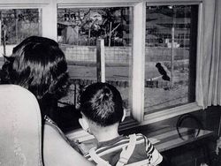 Deretan Foto Jadul yang Aneh Bikin Terperangah Mengetahui Faktanya