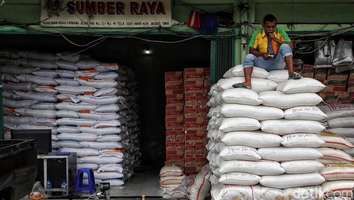 Sejumlah pekerja menangkut beras di kawasan Pasar Induk Beras Cipinang, Jakarta Timur, Selasa (31/1/2023). Perlu diketahui harg seluruh jenis beras di Pasar Induk Beras Cipinang (PIBC) Jakarta saat ini tergolong tinggi. Selain itu, stok beras berkurang signifikan.