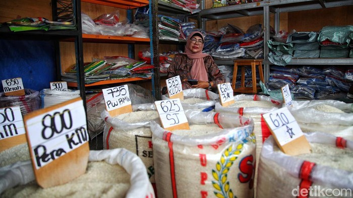 Sejumlah pekerja menangkut beras di kawasan Pasar Induk Beras Cipinang, Jakarta Timur, Selasa (31/1/2023). Perlu diketahui harg seluruh jenis beras di Pasar Induk Beras Cipinang (PIBC) Jakarta saat ini tergolong tinggi. Selain itu, stok beras berkurang signifikan.