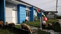 Tantangan besar dalam pemenuhan kebutuhan rumah subsidi layak huni di Indonesia adalah angka backlog kepemilikan rumah mencapai 12,75 juta unit, sedangkan pertumbuhan kepala keluarga (KK) baru mencapai 700.000 hingga 800.000 per tahun.