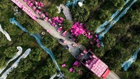 Foto aerial menunjukkan suasana syahdu saat aktivitas panen berlangsung. 