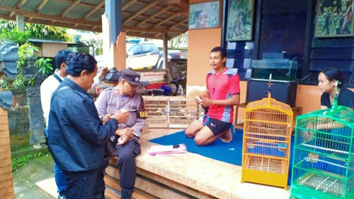 Personel Polsek Selat saat melakukan olah TKP di rumah korban Wayan D yang kehilangan burung dan laptop di Banjar Dinas Yeha, Desa Sebudi, Kecamatan Selat, Kabupaten Karangasem, Bali, Selasa (31/1/2023).